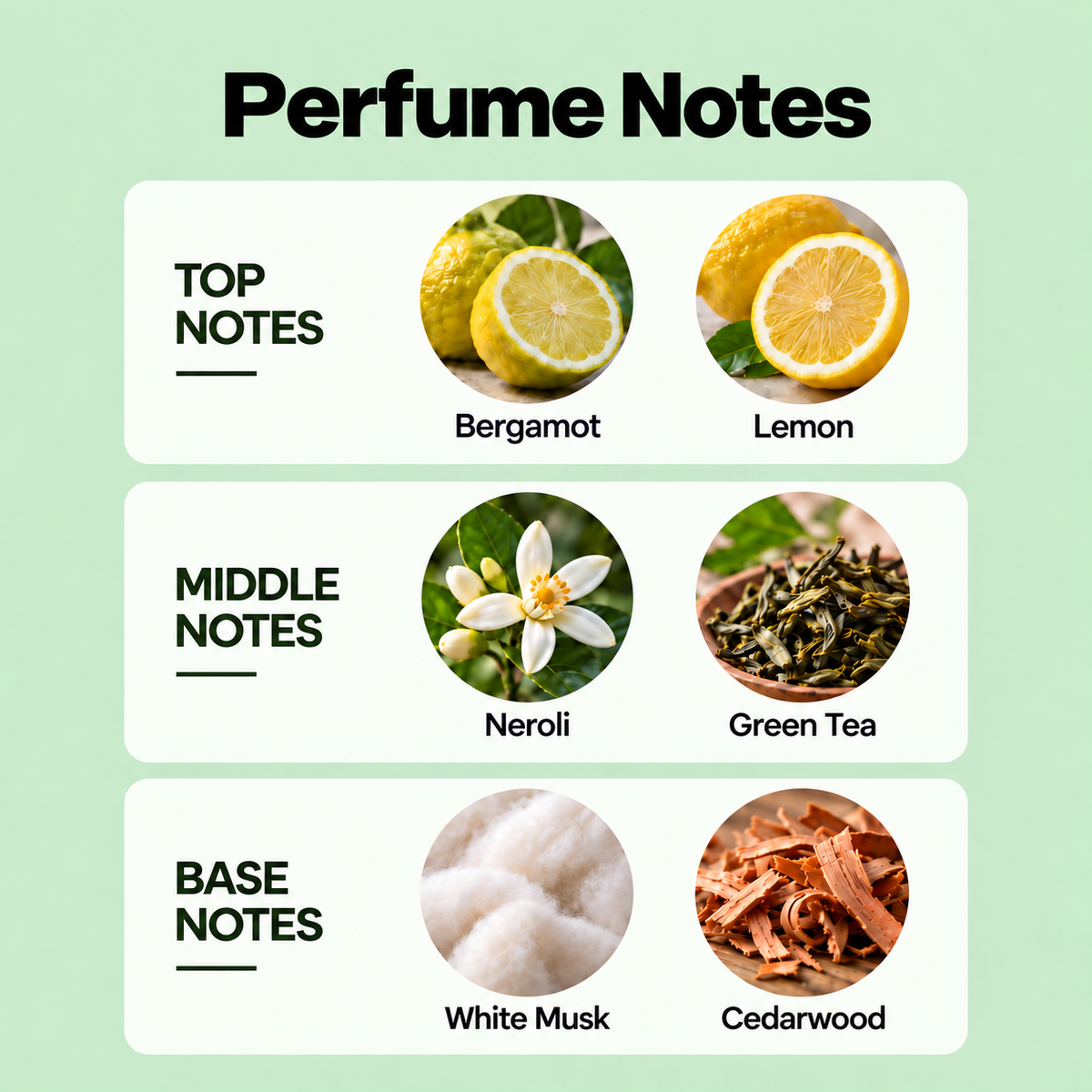 Citrus Bergamot — Fresh Citrus Eau de Parfum, 50ml