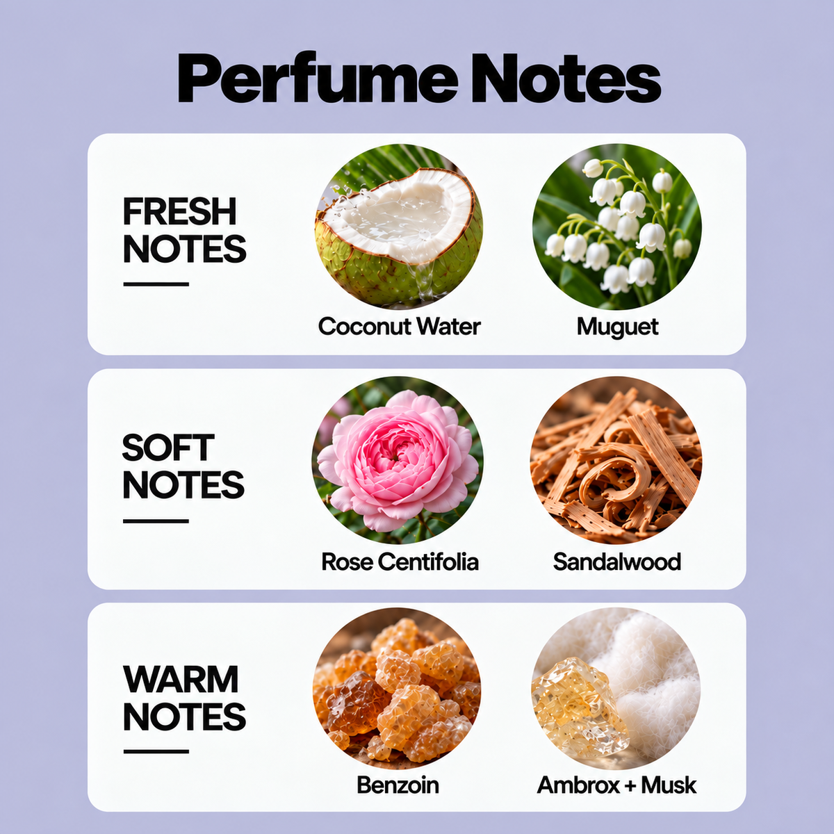 Amber Musk — Warm & Soft Eau de Parfum, 50ml