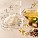Cholesterol + Fatty acids